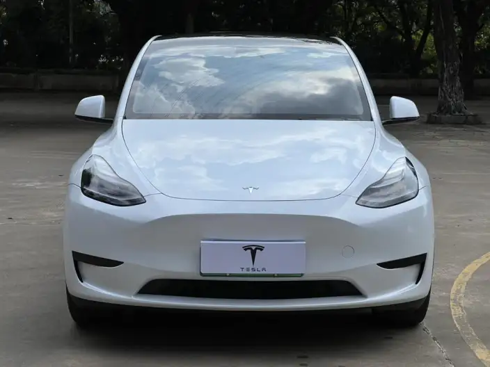 Model Y 2024 Model Rear-wheel drive version – фото 2