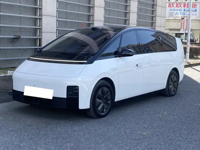 Li Auto MEGA 2025 Model Home Family Special Edition – фото 1