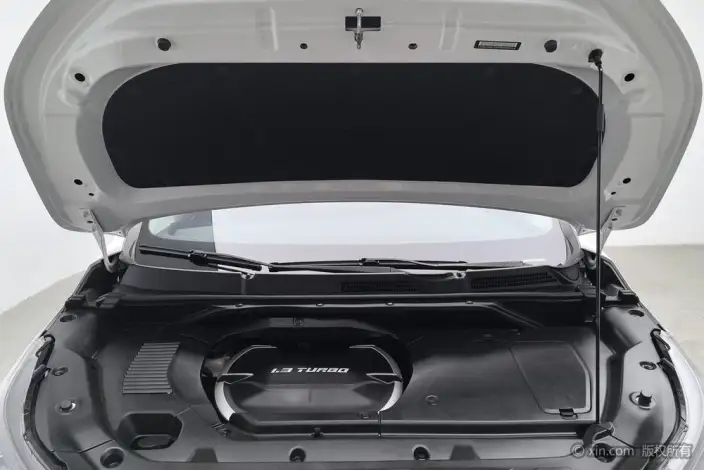 Maxus Dajia 5 Plug-in 2024 Model Exclusive Edition – фото 5