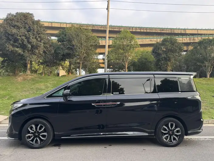 HONGQI HQ9 2022 Model Smart Flag Enjoy Edition
