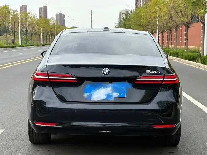 BMW 5 Series 2025 Model Facelift 530Li Leading Model Luxury Set – фото 6