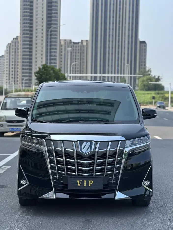 Elfa 2021 Model Hybrid 2.5L Deluxe Edition – фото 2