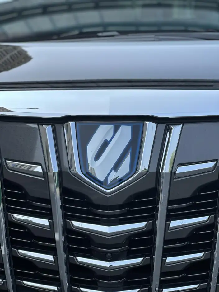 Elfa 2021 Model Hybrid 2.5L Deluxe Edition – фото 10