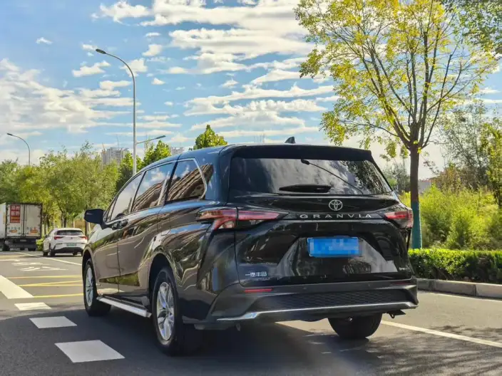 Granvia 2024 Model Intelligent Hybrid 2.5L 2WD Comfort Edition – фото 5