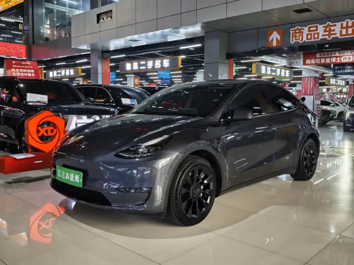 Model Y 2022 Model Long Battery Life Pro All-wheel drive version – фото 1