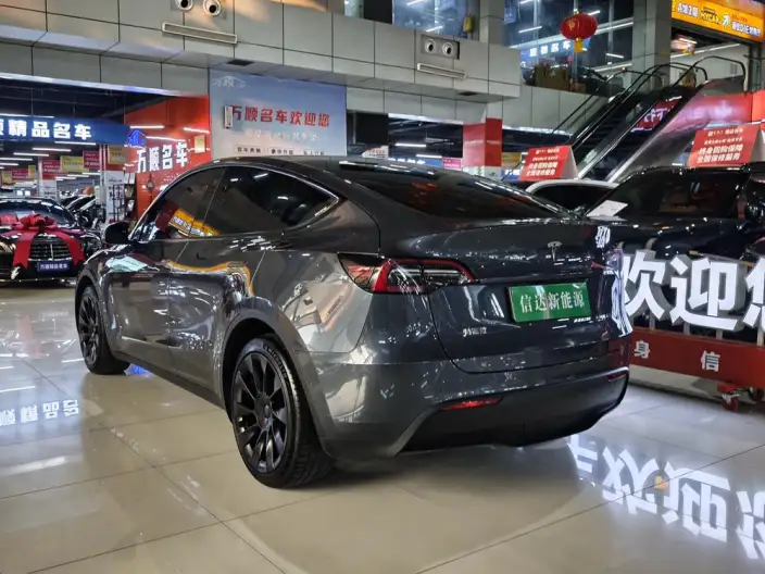 Model Y 2022 Model Long Battery Life Pro All-wheel drive version – фото 4