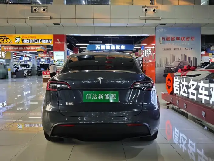 Model Y 2022 Model Long Battery Life Pro All-wheel drive version – фото 5