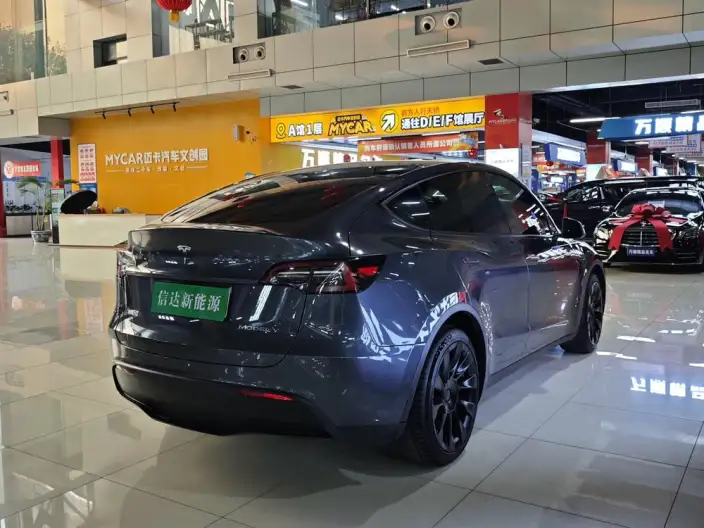 Model Y 2022 Model Long Battery Life Pro All-wheel drive version – фото 6