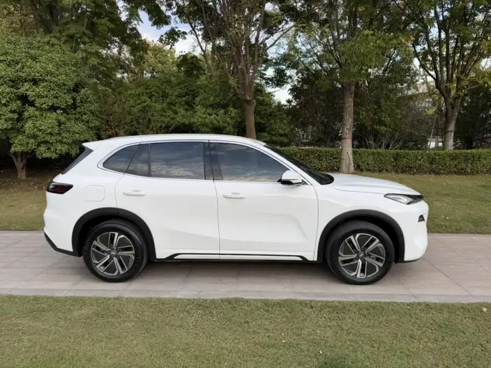 Galaxy Starship 7 EM-i 2025 Model 120KM Tiggo + Edition – фото 8