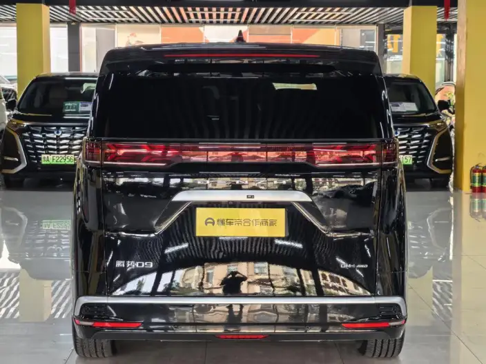 DENZA D9 DM 2022 Model 970 4WD Flagship Model – фото 5