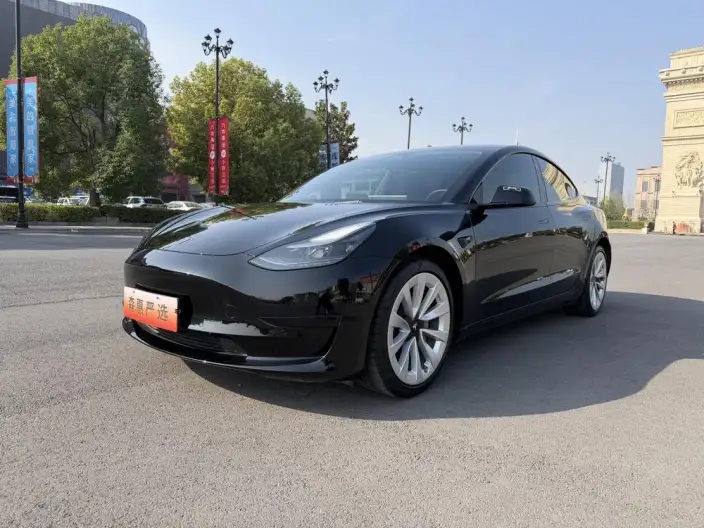 Model 3 2021 Model Standard Battery Life Rear Drive L Class Edition 3D6 – фото 1