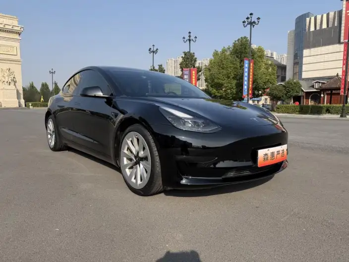 Model 3 2021 Model Standard Battery Life Rear Drive L Class Edition 3D6 – фото 3
