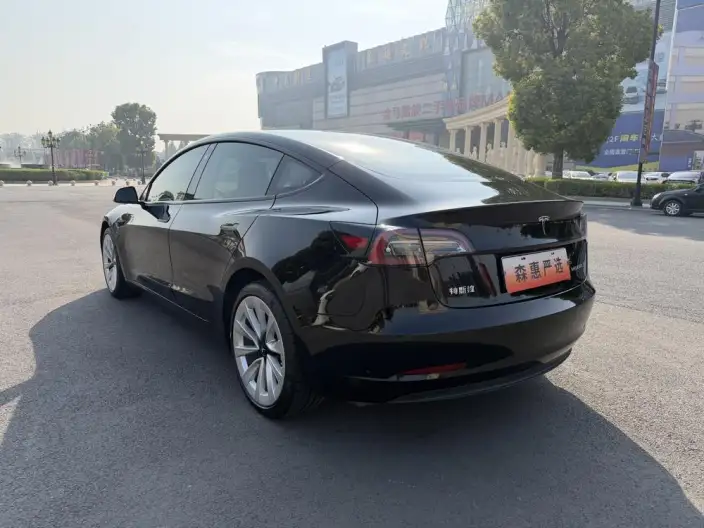 Model 3 2021 Model Standard Battery Life Rear Drive L Class Edition 3D6 – фото 4