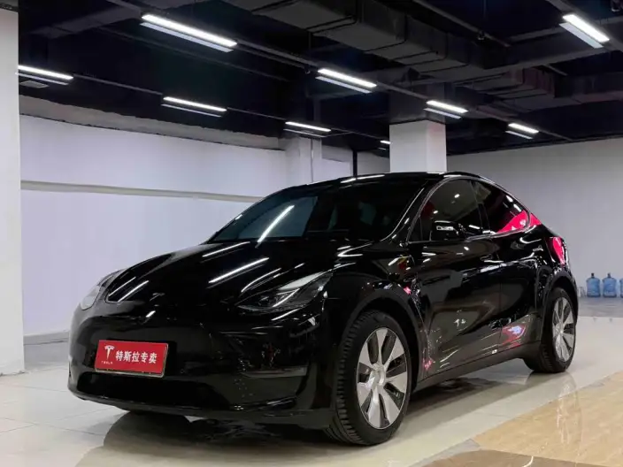Model Y 2021 Model Facelift Long Battery Life Pro All-wheel drive version – фото 1