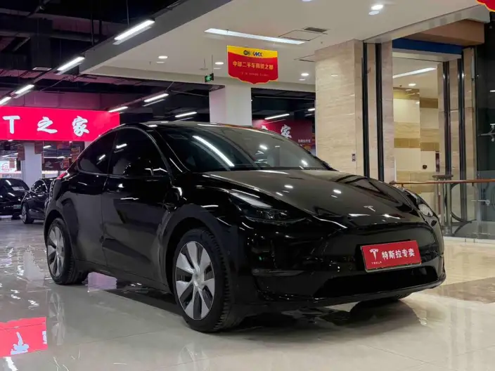Model Y 2021 Model Facelift Long Battery Life Pro All-wheel drive version – фото 2