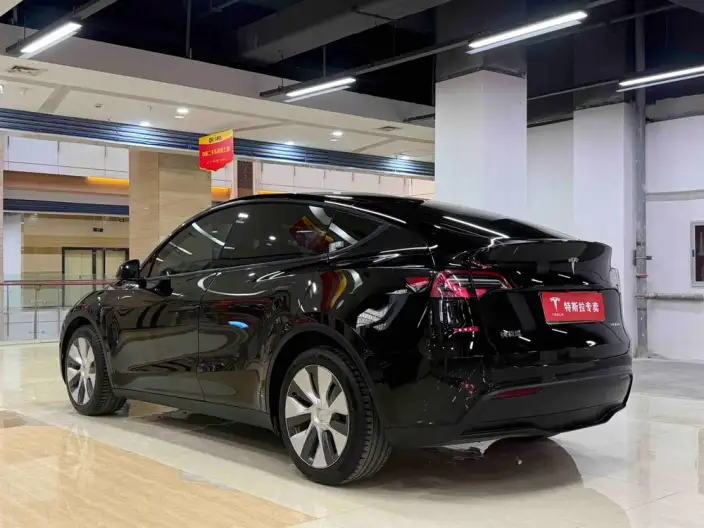 Model Y 2021 Model Facelift Long Battery Life Pro All-wheel drive version – фото 3