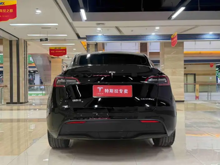 Model Y 2021 Model Facelift Long Battery Life Pro All-wheel drive version – фото 4