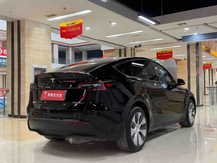 Model Y 2021 Model Facelift Long Battery Life Pro All-wheel drive version – фото 5