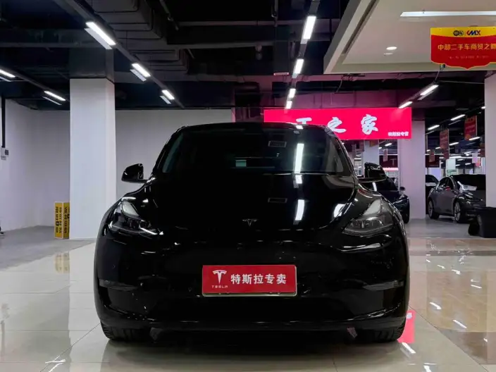 Model Y 2021 Model Facelift Long Battery Life Pro All-wheel drive version – фото 7