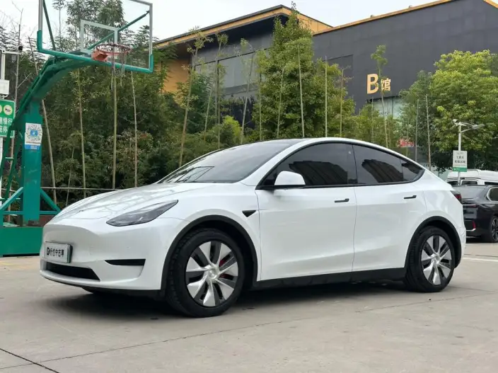 Model Y 2022 Model Rear-wheel drive version – фото 1