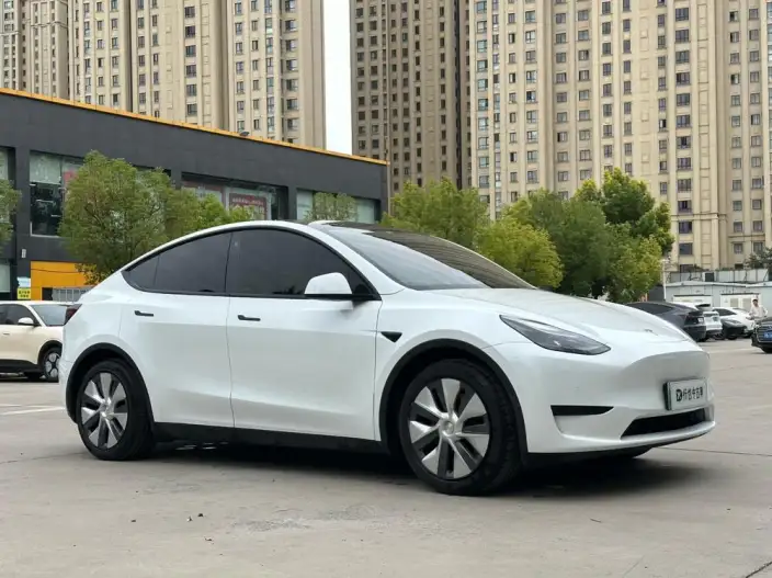 Model Y 2022 Model Rear-wheel drive version – фото 3