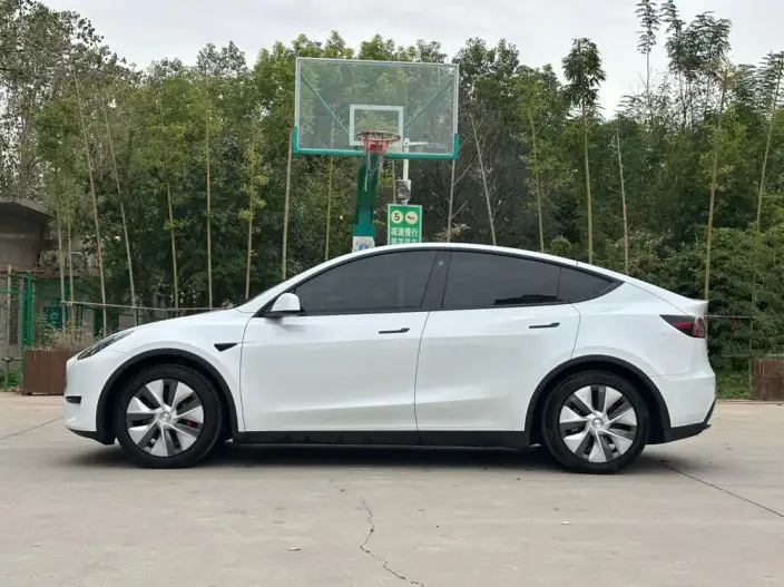 Model Y 2022 Model Rear-wheel drive version – фото 4