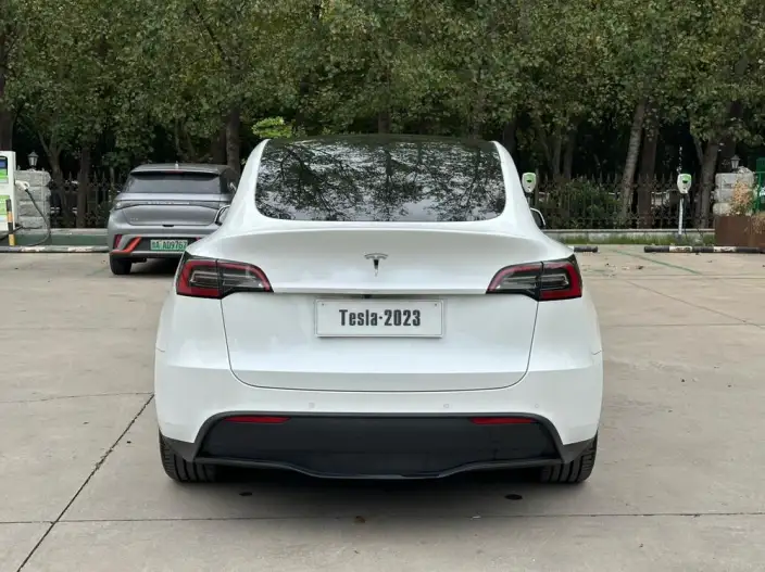 Model Y 2022 Model Rear-wheel drive version – фото 6