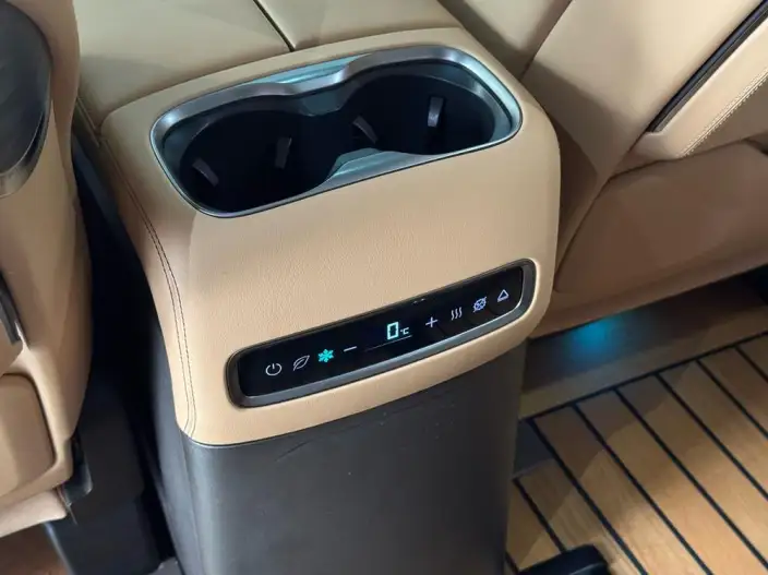 DENZA D9 DM 2024 Model 1050 Exclusive Model – фото 9