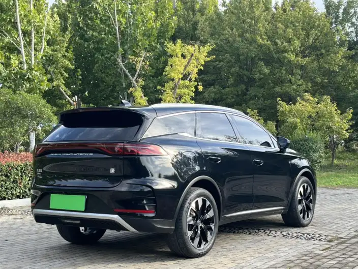 BYD Tang DM 2024 Model Honor Edition DM-i 112KM Flagship Model – фото 5