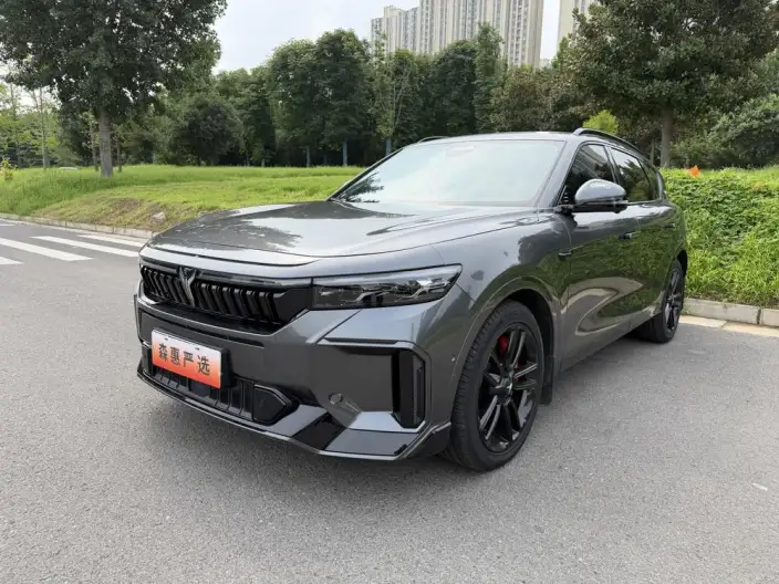 VOYAH FREE 2025 Model 318 4WD Tiggo Edition