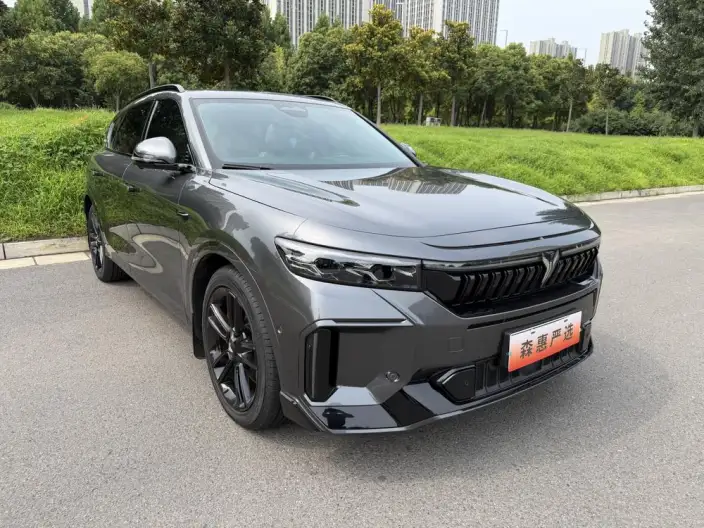 VOYAH FREE 2025 Model 318 4WD Tiggo Edition