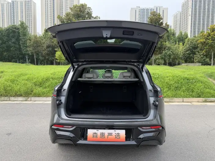 VOYAH FREE 2025 Model 318 4WD Tiggo Edition – фото 9