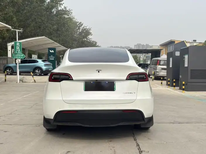 Model Y 2023 Model Rear-wheel drive version – фото 5