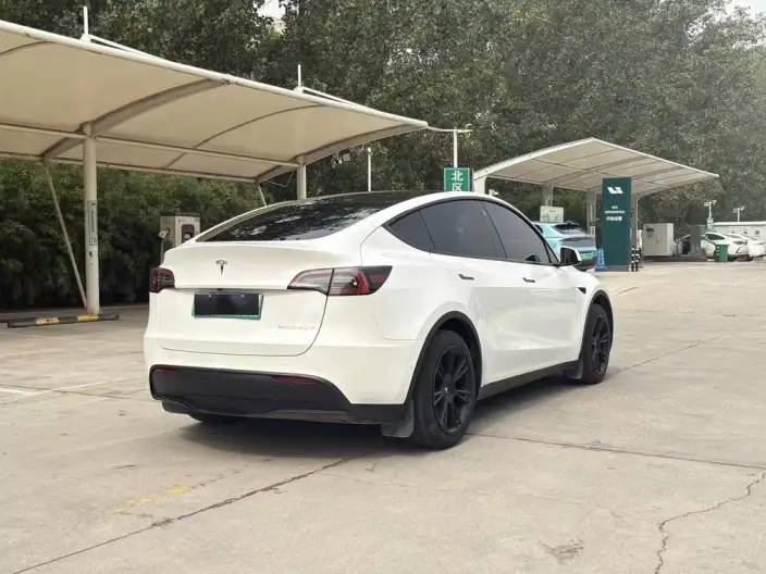 Model Y 2023 Model Rear-wheel drive version – фото 6