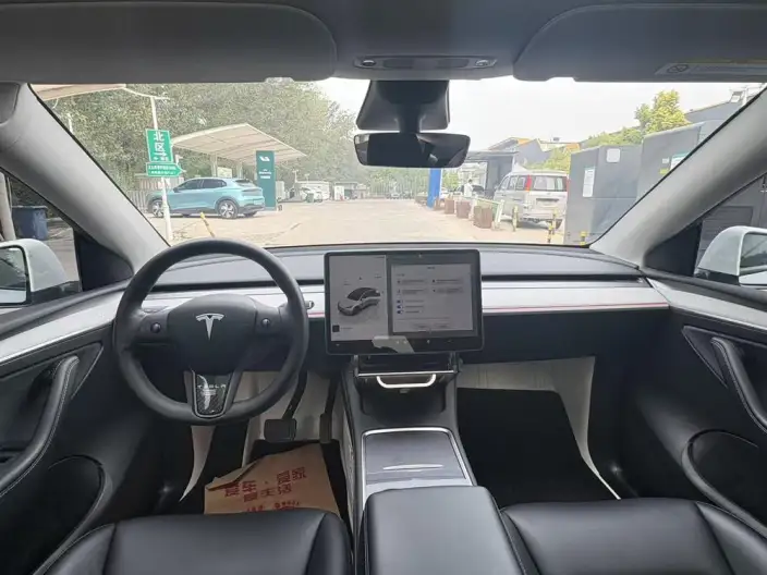 Model Y 2023 Model Rear-wheel drive version – фото 7