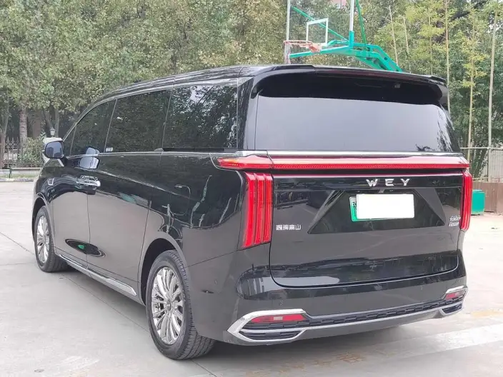 Wey Gaoshan P HEV 2023 Model 4WD Ultimate Edition – фото 5