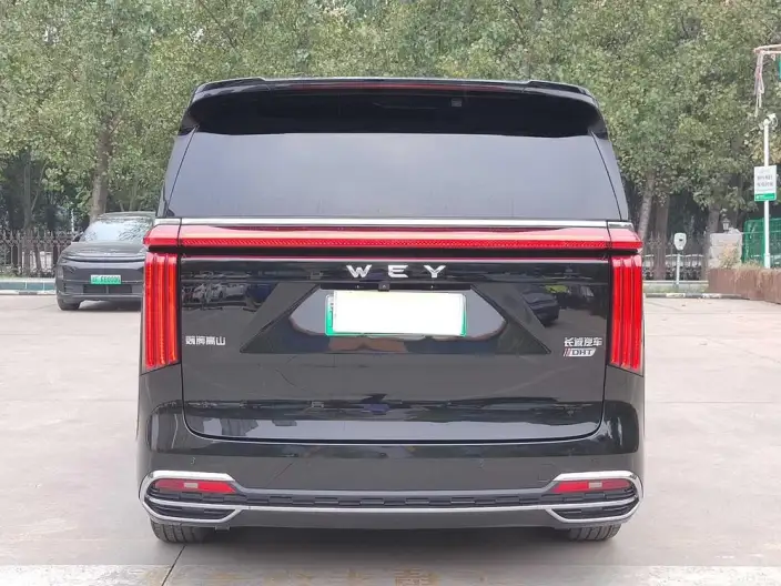 Wey Gaoshan P HEV 2023 Model 4WD Ultimate Edition – фото 6