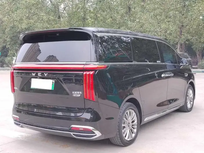 Wey Gaoshan P HEV 2023 Model 4WD Ultimate Edition – фото 7