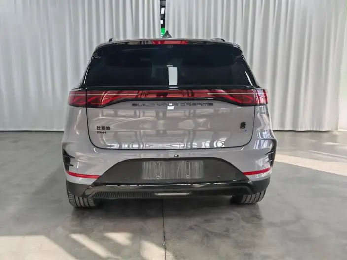 BYD Tang DM 2025 Model Smart Driving Edition DM-i 115KM Noble Model – фото 6