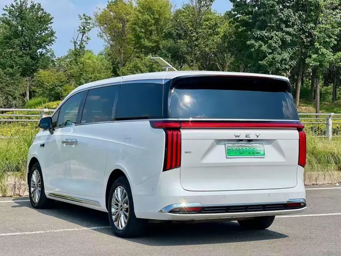 Wey Gaoshan P HEV 2025 Model 4WD Wey Gaoshan 8