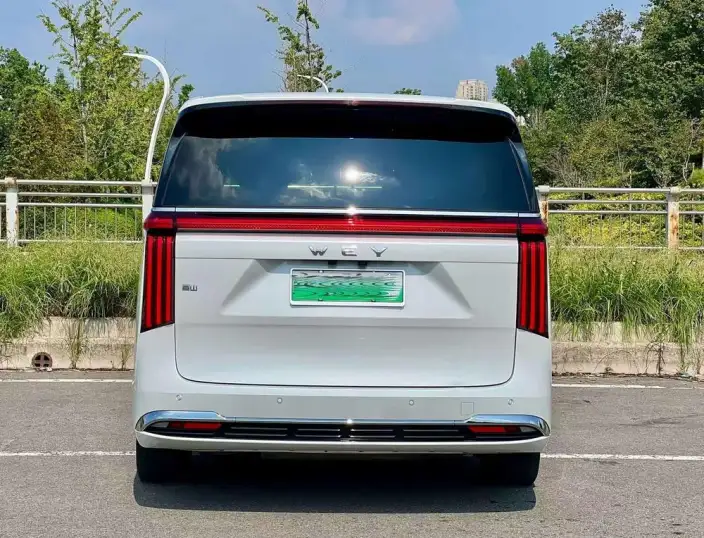 Wey Gaoshan P HEV 2025 Model 4WD Wey Gaoshan 8 – фото 5