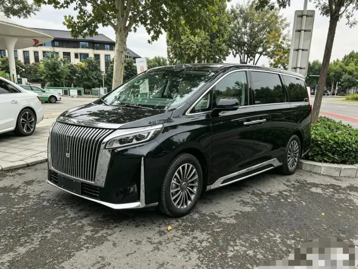 Wey Gaoshan P HEV 2025 Model 4WD Wey Gaoshan 9