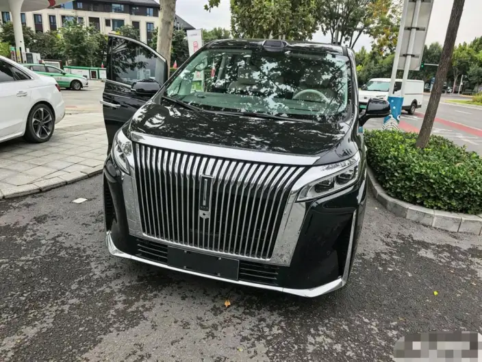 Wey Gaoshan P HEV 2025 Model 4WD Wey Gaoshan 9