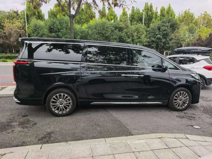 Wey Gaoshan P HEV 2025 Model 4WD Wey Gaoshan 9
