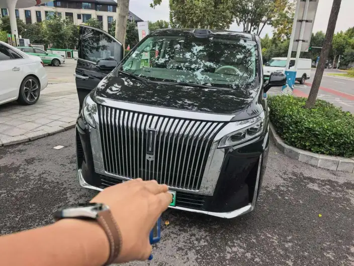 Wey Gaoshan P HEV 2025 Model 4WD Wey Gaoshan 9 – фото 8