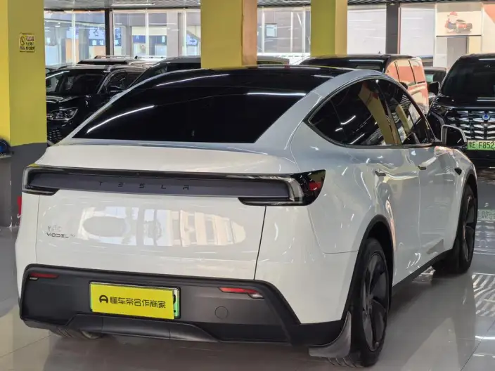 Model Y 2025 Model Rear-wheel drive version – фото 6