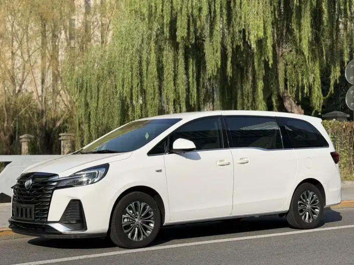Buick GL8 2023 Model Business class 2.0T Luxury Model