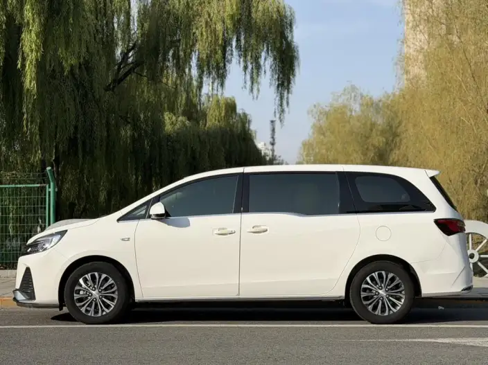 Buick GL8 2023 Model Business class 2.0T Luxury Model