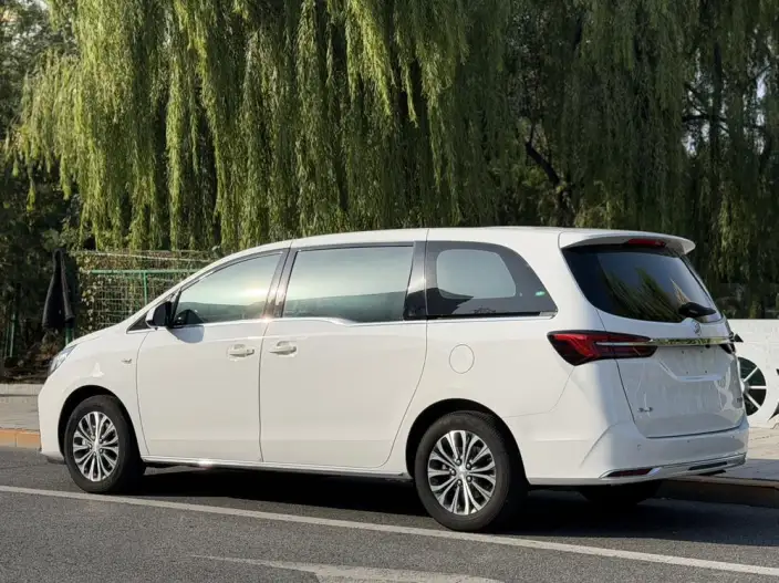 Buick GL8 2023 Model Business class 2.0T Luxury Model – фото 5