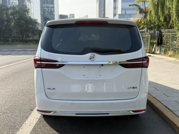 Buick GL8 2023 Model Business class 2.0T Luxury Model – фото 6